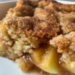 ['Close-up view of a freshly baked Snickerdoodle Cobbler with a golden crust and apple pie filling.', 'Side profile of a delicious Snickerdoodle Cobbler served with vanilla ice cream.', 'Juicy Snickerdoodle Cobbler showcasing its soft texture and caramel drizzle.', 'Warm Snickerdoodle Cobbler topped with cinnamon sugar and served in a dish.']